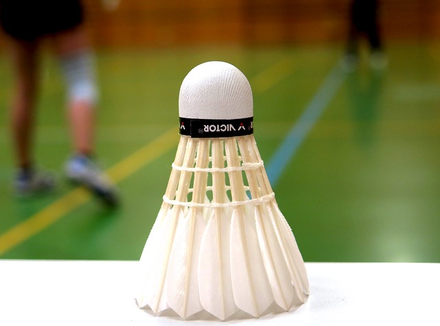 badmintonový košíček